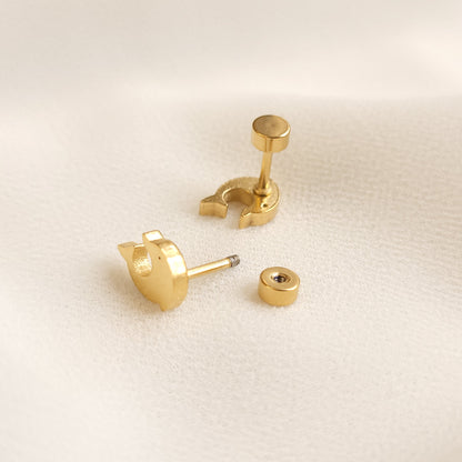 Boucles d'oreilles clous dauphin