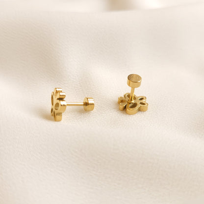 Puces d'oreilles papillon
