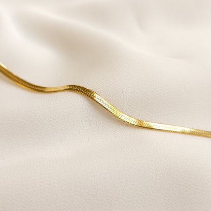 Bracelet de cheville à double chaîne