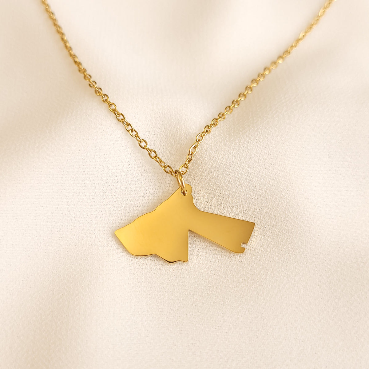 Gold-tone Jordan map pendant necklace with a polished silhouette.
