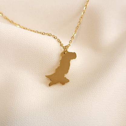 Gold-tone Pakistan map pendant necklace with a fine oval-link chain.
