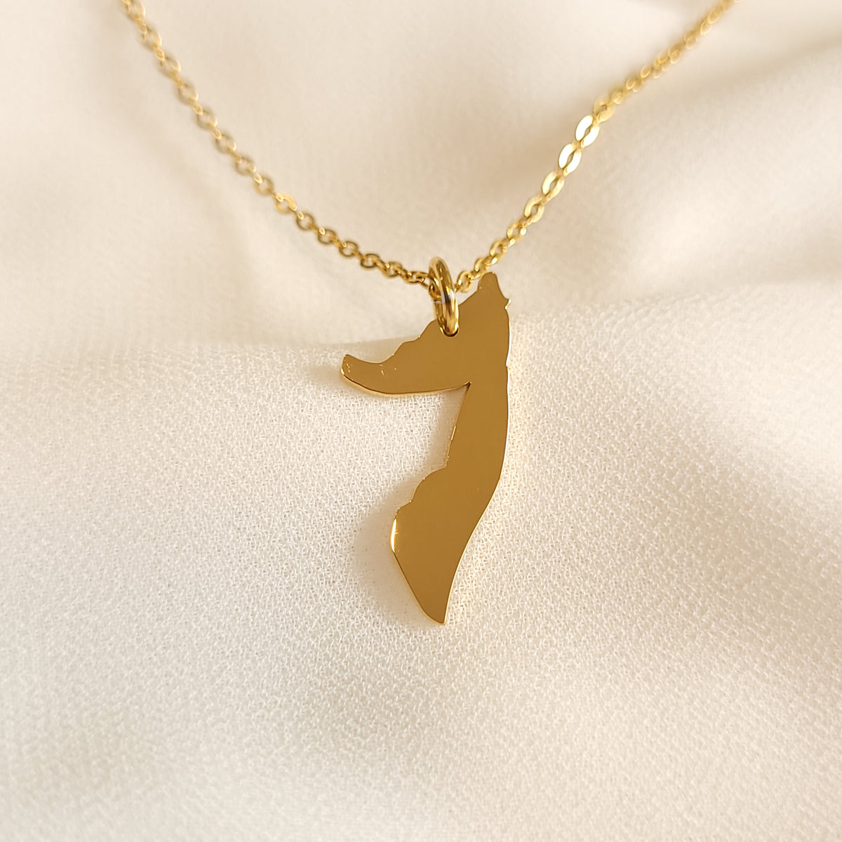 Gold-tone Somalia map pendant necklace with a fine oval-link chain.

