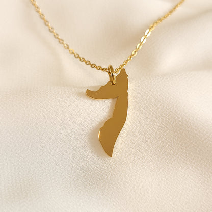 Gold-tone Somalia map pendant necklace with a fine oval-link chain.
