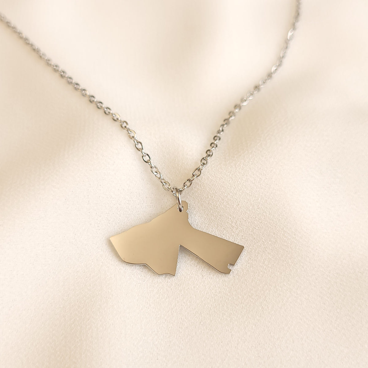 Silver-tone Jordan map pendant necklace with a fine oval-link chain.
