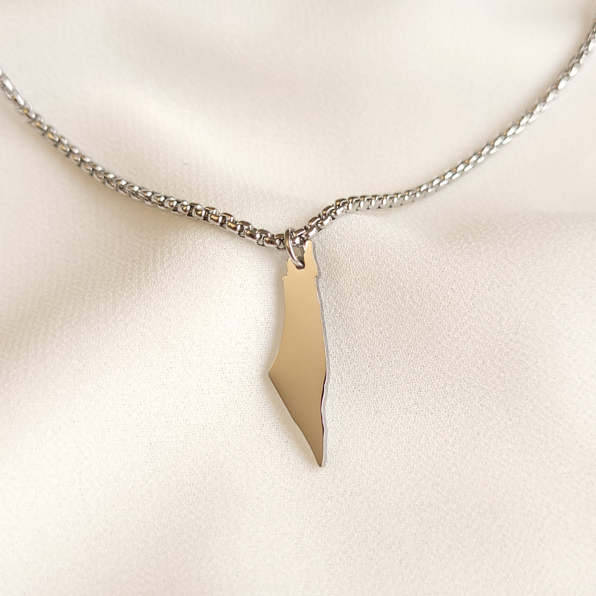 Silver-tone Palestine map pendant on a thicker linked chain.
