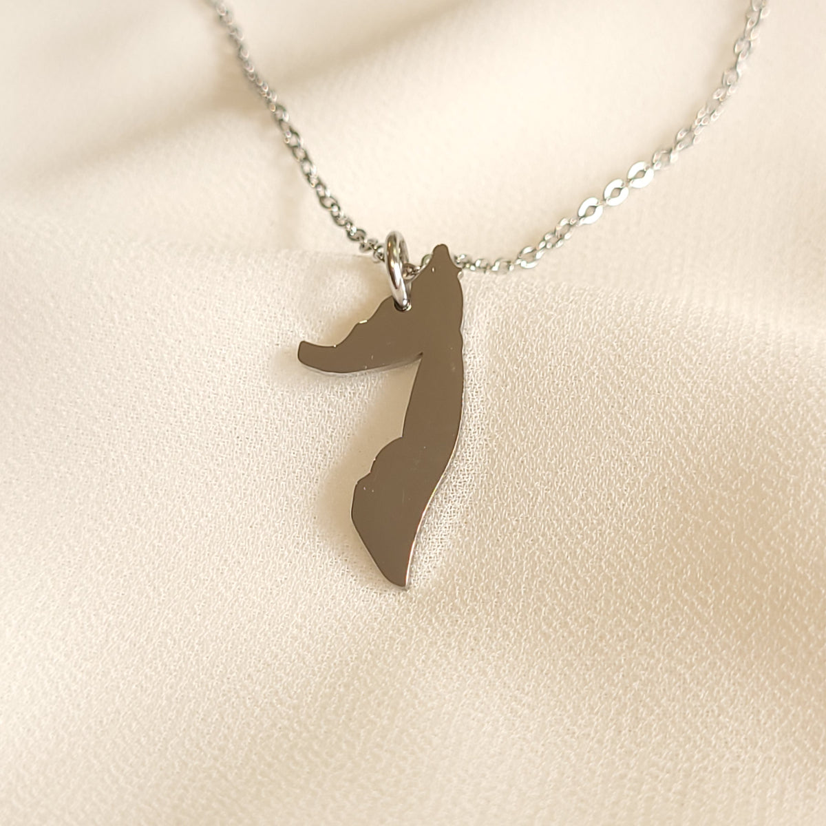 Silver-tone Somalia map pendant necklace with a polished silhouette.
