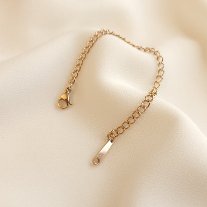 Rallonge de collier (option supplémentaire)