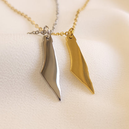 Silver-tone and gold-tone Palestine map pendant necklaces displayed side by side.
